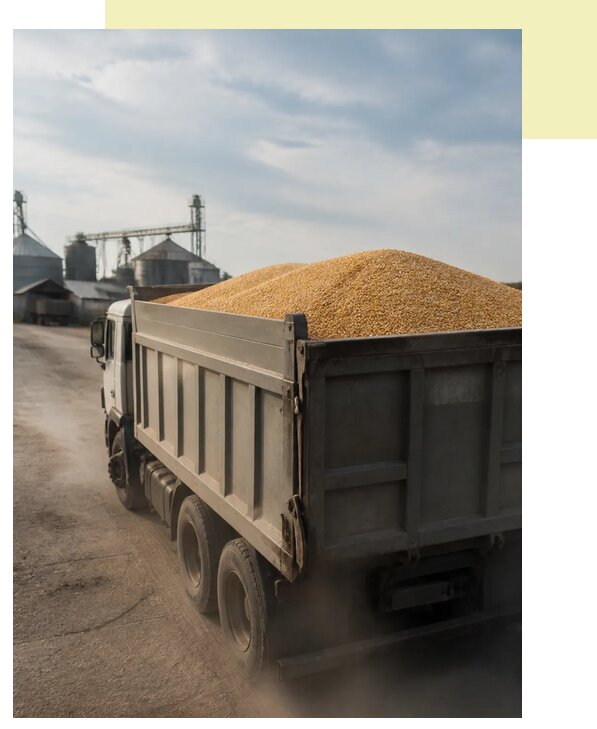 Перевозка сельхозпродукции навалом в Чусовую по цене от 3134 р. | Агросервис-Чсв